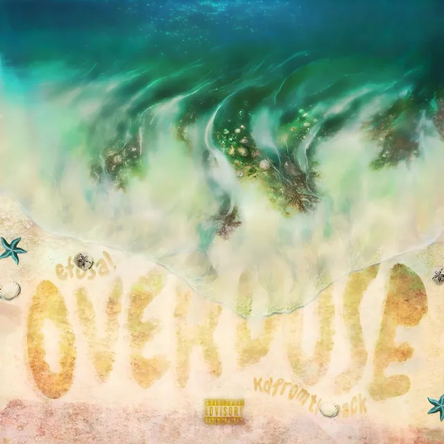 OVERDOSE cover